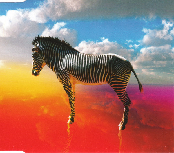 Only The Horses