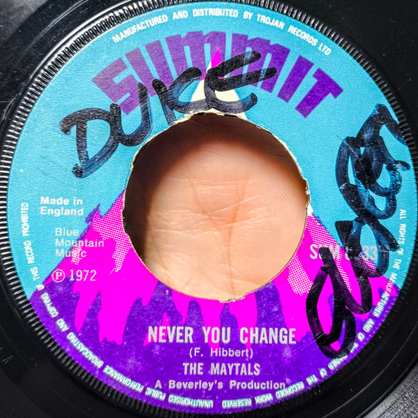 Never You Change / Never Change (Version)
