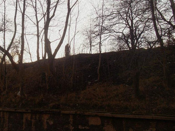 My First Recordings In Exploration Of Nature