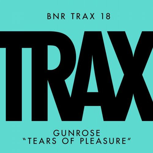 Tears Of Pleasure