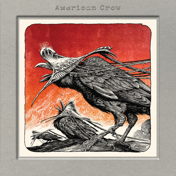 American Crow