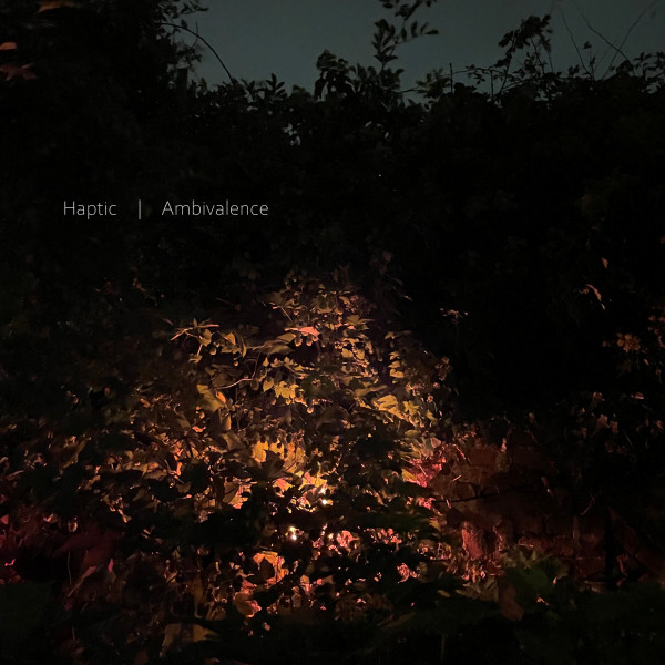 Ambivalence