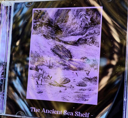 The Ancient Sea Shelf