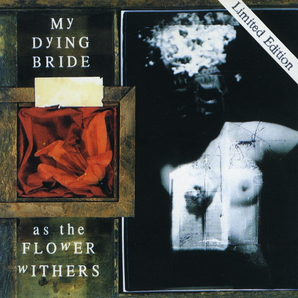 As The Flower Withers