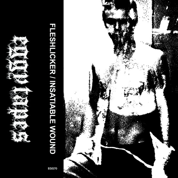 FLESHLICKER / INSATIABLE WOUND