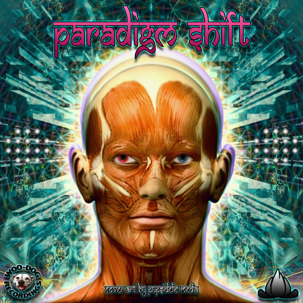 Paradigm Shift