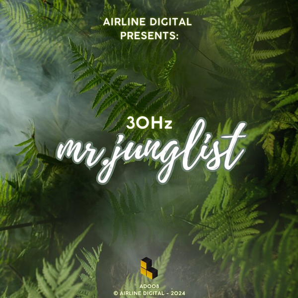 Mr. Junglist