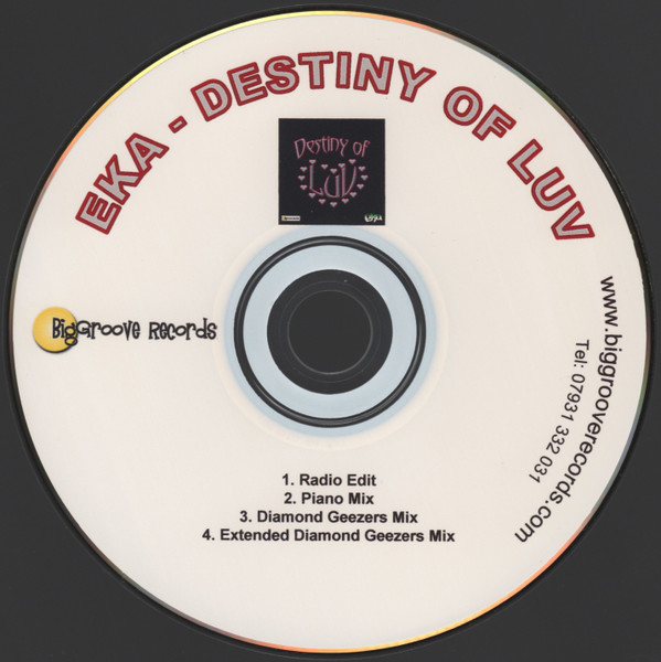 Destiny Of Luv