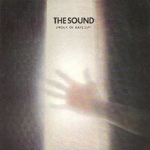 Shock Of Daylight
