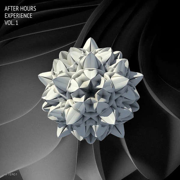 After Hours Experience (Vol.1)