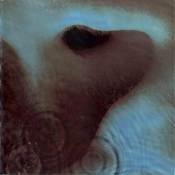 Meddle