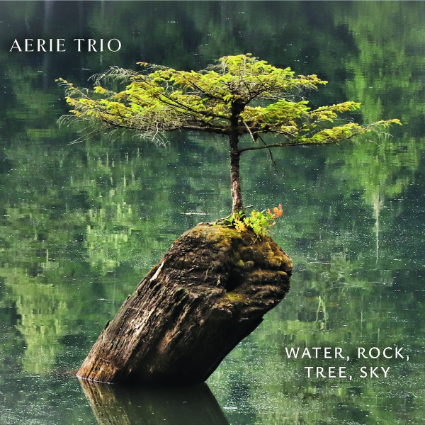 Water, Rock, Tree, Sky