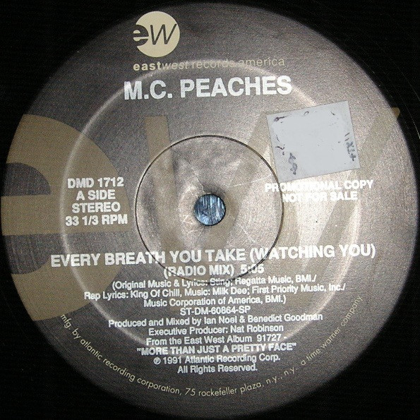 Every Breath You Take (Watching You)