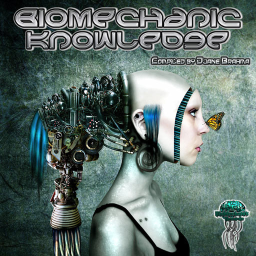 Biomechanic Knowledge