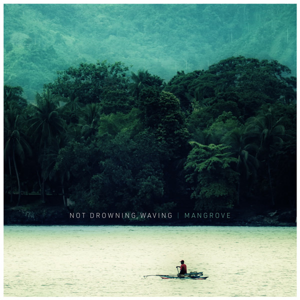 Mangrove