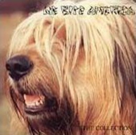 We Bite America - The Collection