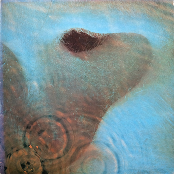 Meddle