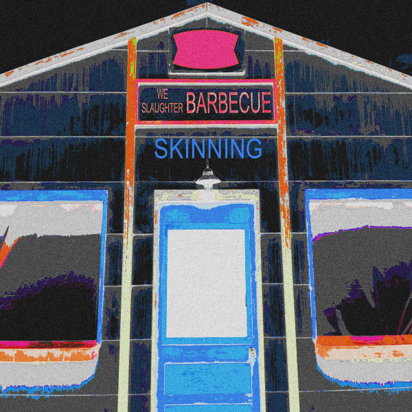 Skinning