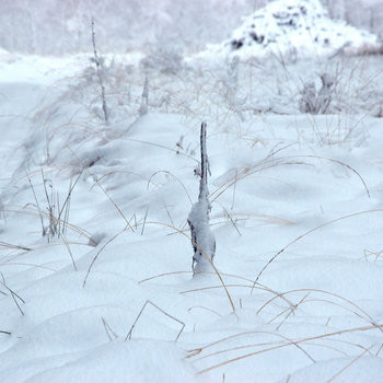 Oymyakon / Khatanga