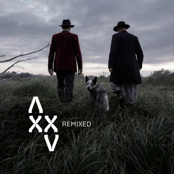 XXV Remixed