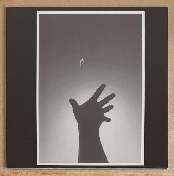 Kite