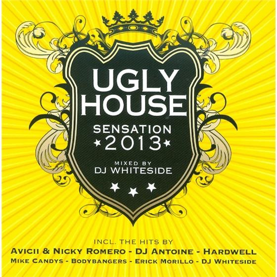 Ugly House Sensation 2013