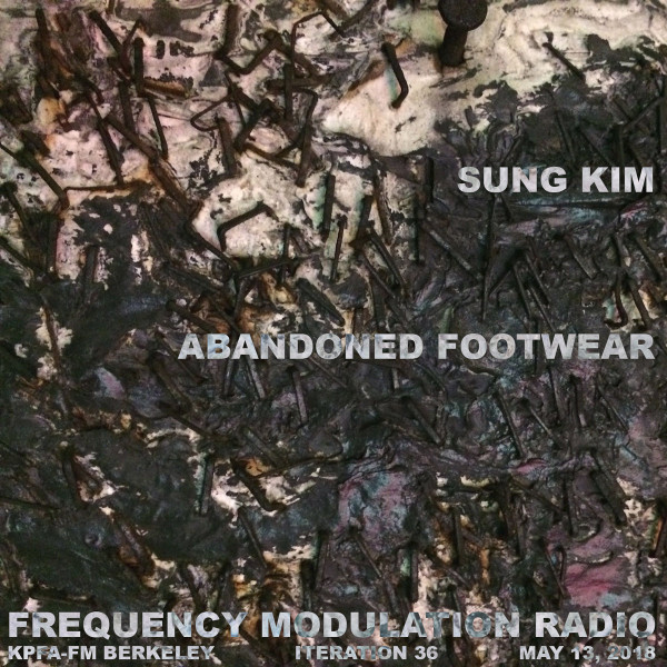 Frequency Modulation Radio: Iteration 36