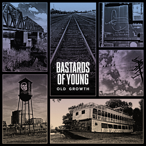 Old Growth
