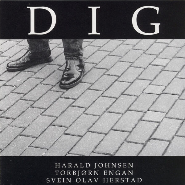 Dig