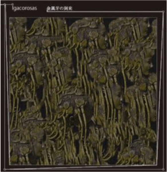 金属牙の到来