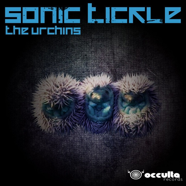 The Urchins