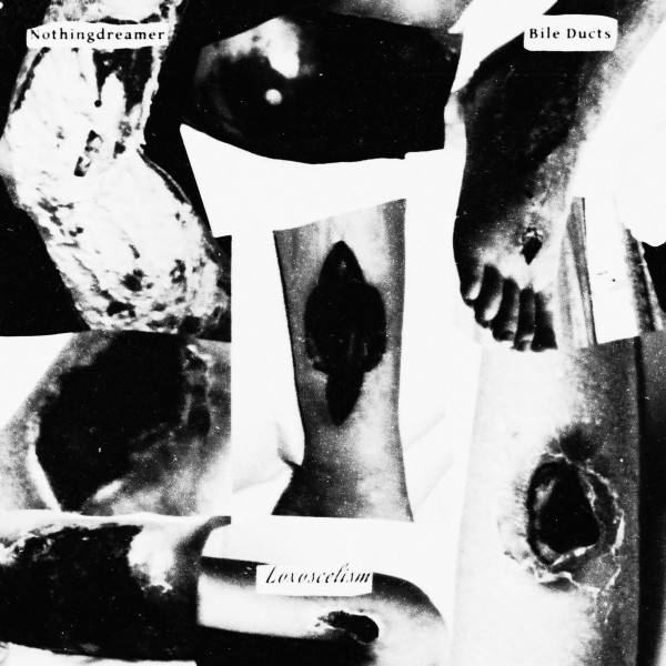 Loxoscelism