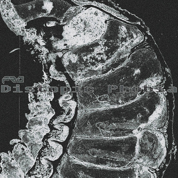 Distopic Phobia