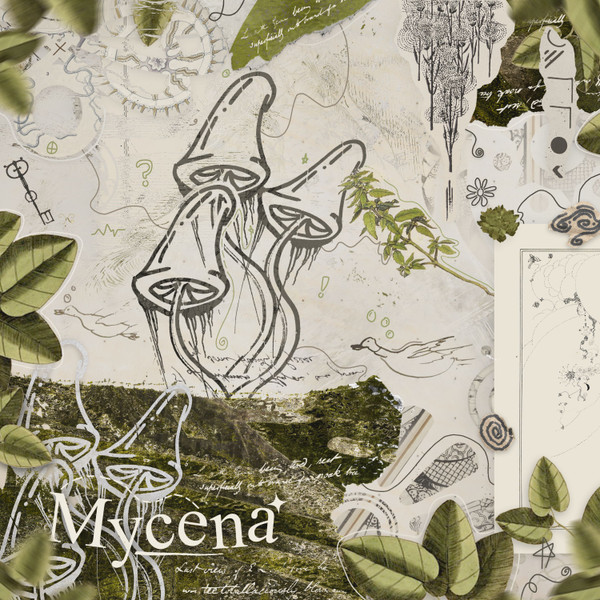 Mycena