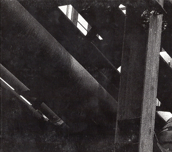 Machinic Phylum