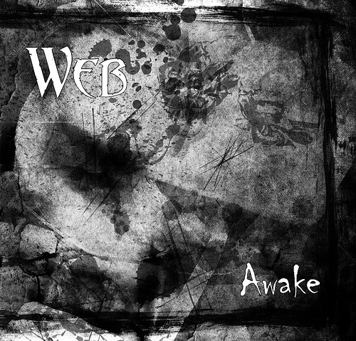 Awake