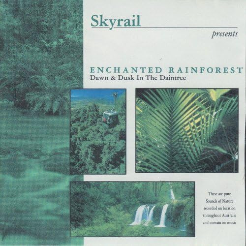 Enchanted Rainforest