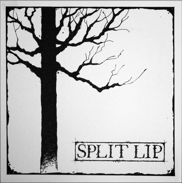 Split Lip