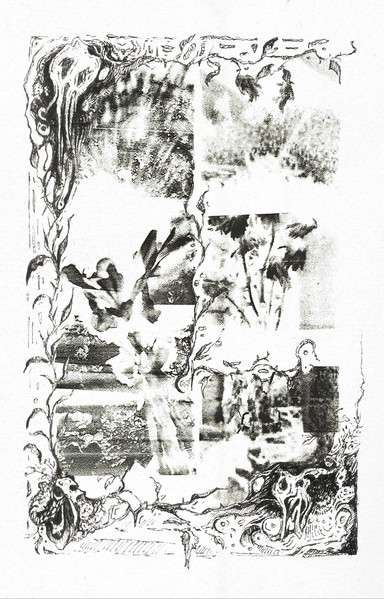 terra firma eulogies