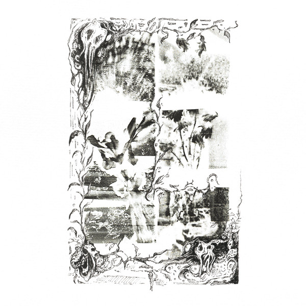 terra firma eulogies
