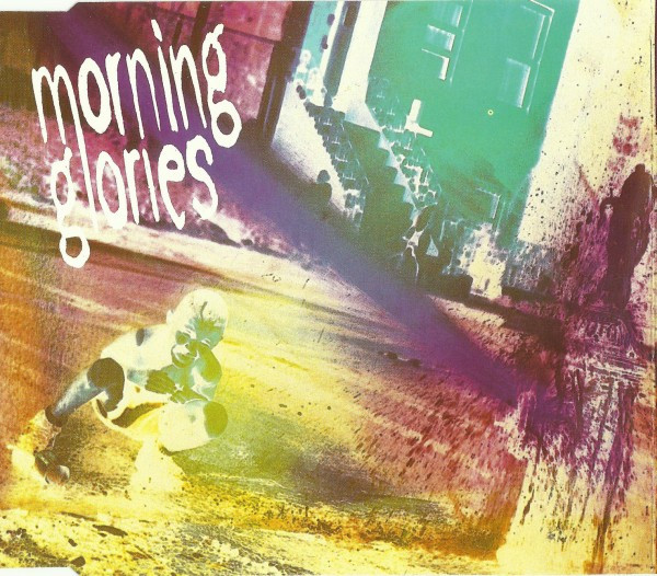 Morning Glories
