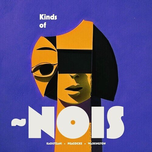 Kinds Of ~Nois