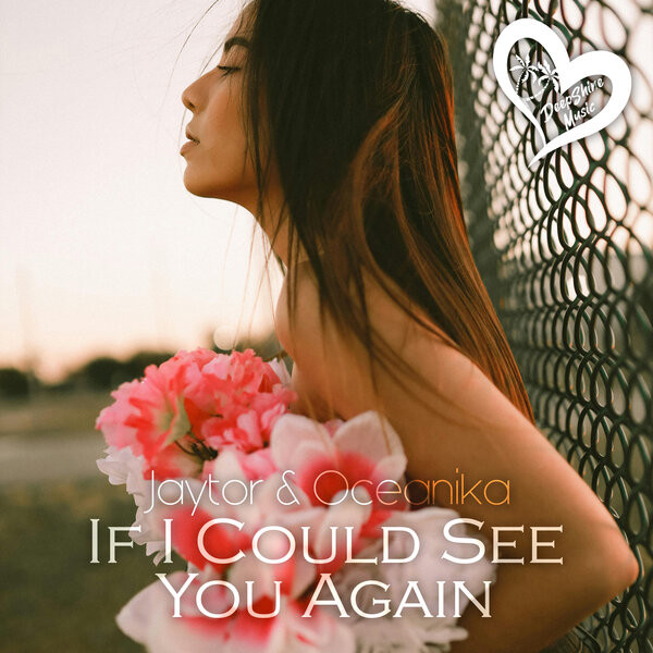 If I Could See You Again