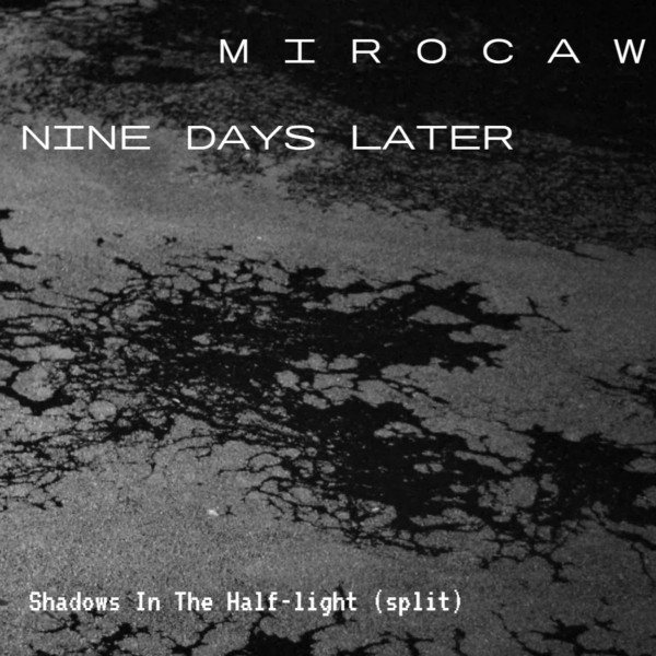 Shadows In The Half-Light