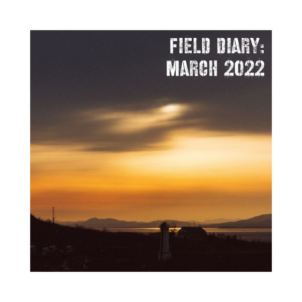 Field Diary: March 2022