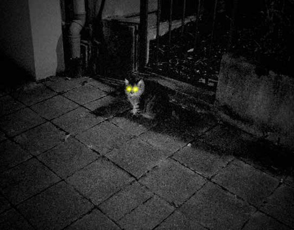 Vampirismus