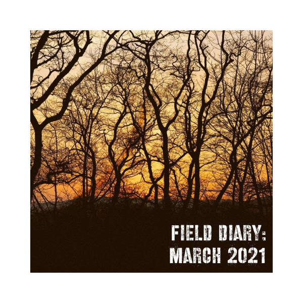 Field Diary: March 2021