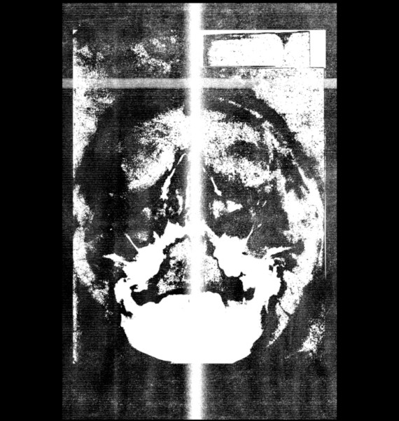 Weeping Songs for Blossoming Hearts - PE/DI compilation