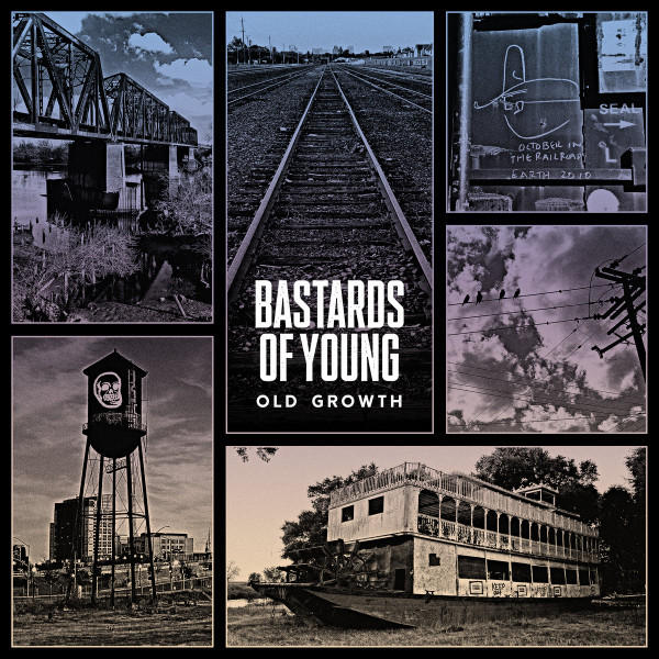 Old Growth
