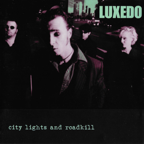 City Lights And Roadkill